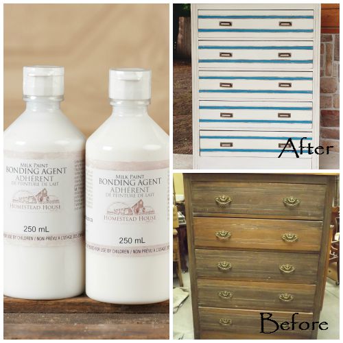 Homestead House Paint Company Toronto Ontario Canada